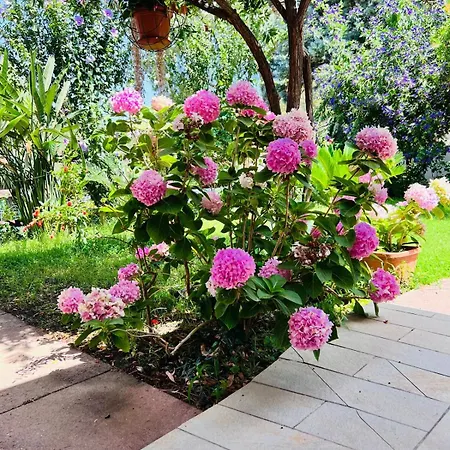 Bbmaredellestelle 4* Torre delle Stelle