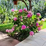Bbmaredellestelle 4* Torre delle Stelle